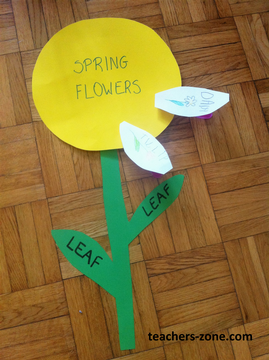 Spring flowers lesson plan