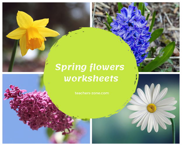 Spring flowers - CLIL resources