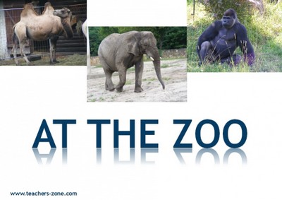 Pictures for zoo animals vocabulary