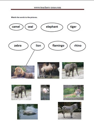 Match the pictures of the zoo animals to their names