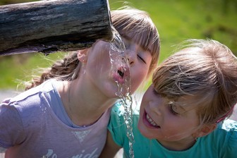 Cognitive development of dyslexic learners Children with special needs and their cognitive development
