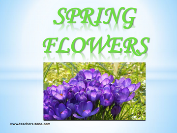 Free flashcards for spring flowers vocabulary