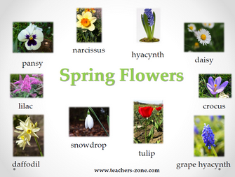 Free posters for spring flowers vocabulary