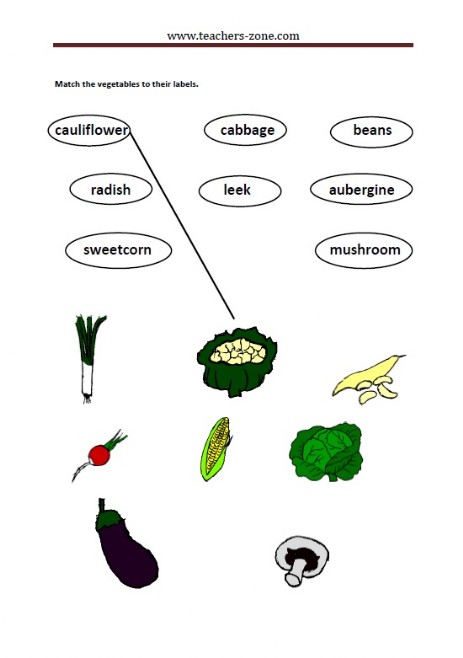 match the vegetables to their labels