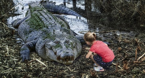 Mr Crocodile, can we cross the river? - activity for ESL kids