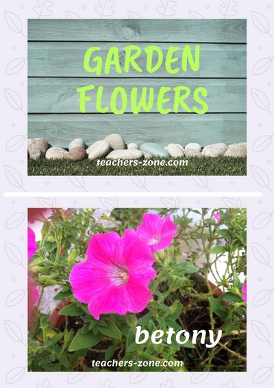 CLIL materials for garden flowers