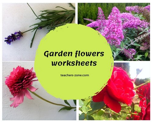 CLIL materials for garden flowers