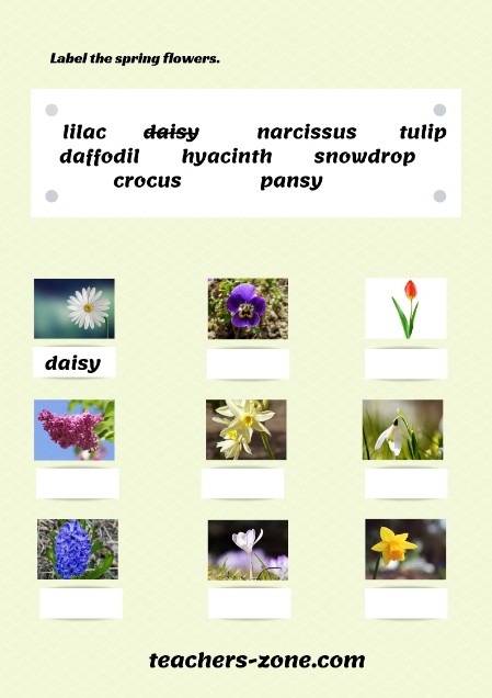 Free printable spring flowers worksheets