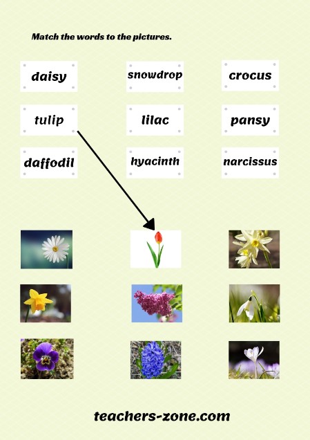 Spring flowers printable worksheets
