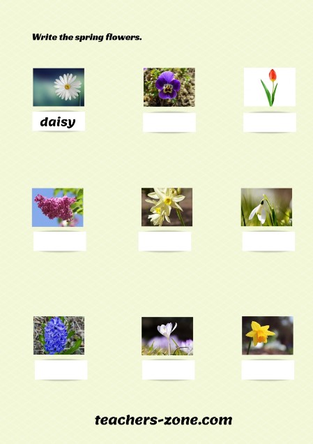 Free printable spring flowers worksheets