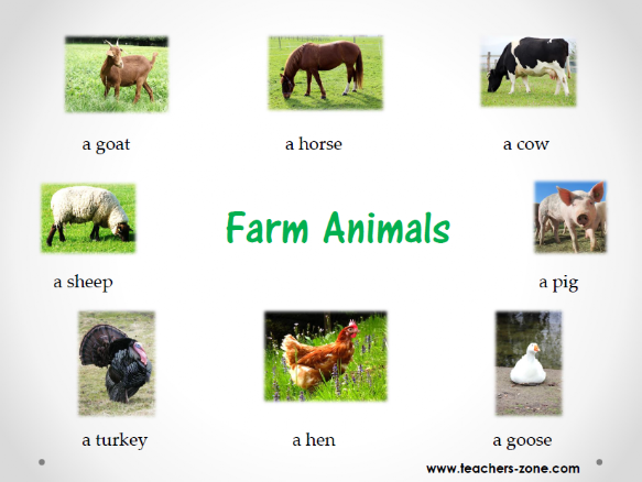 Farm animals resources