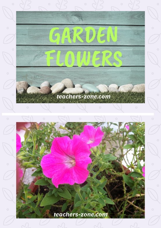 Teaching about garden flowers - spring lessons