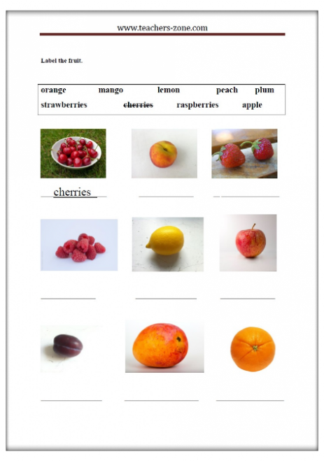Free fruit printable worksheet for primary students