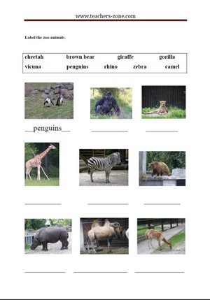 Label the zoo animals