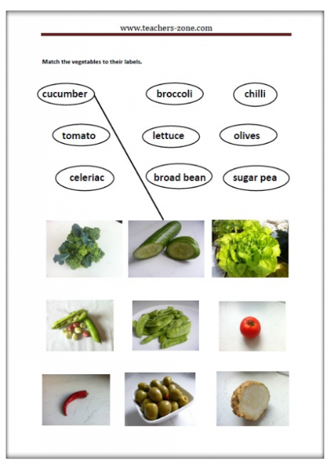 match the vegetables to their labels