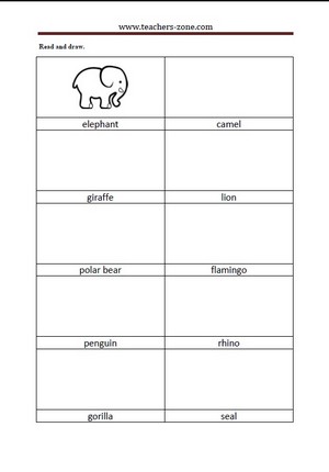 Draw the zoo animals