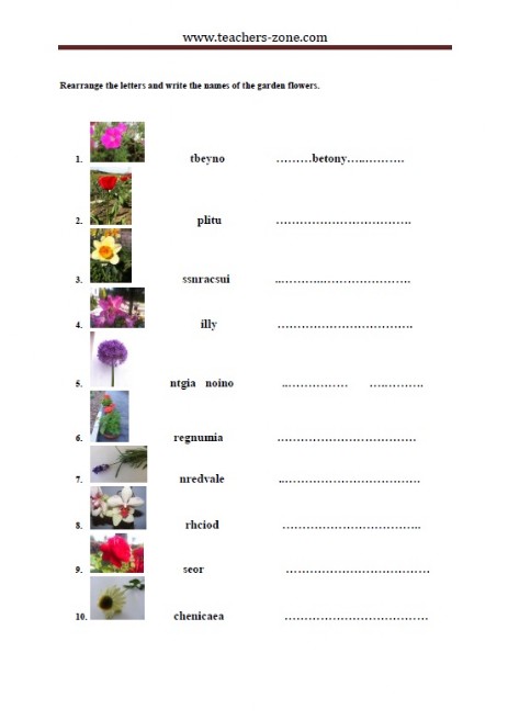 free garden flowers worksheets teachers zone