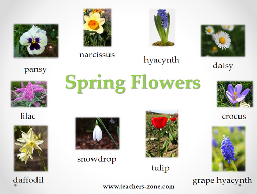 Spring flowers -resources for CLIL lesson plan