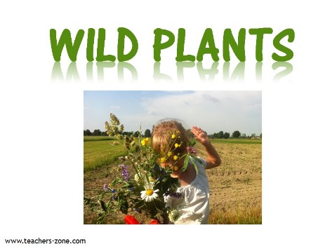 wild plants vocabulary